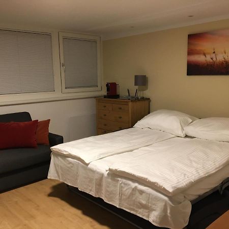 Cosy Flat In The Quiet Area With Own Garden, Free Parking And Direct Public Transport Link To The Centre Lägenhet Wien Exteriör bild