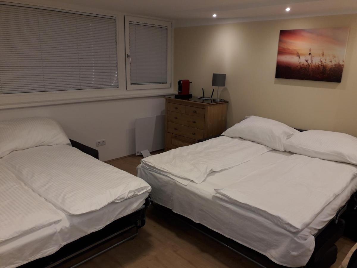 Cosy Flat In The Quiet Area With Own Garden, Free Parking And Direct Public Transport Link To The Centre Lägenhet Wien Exteriör bild